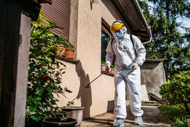 Best Best Pest Control Companies  in Calhoun City, MS